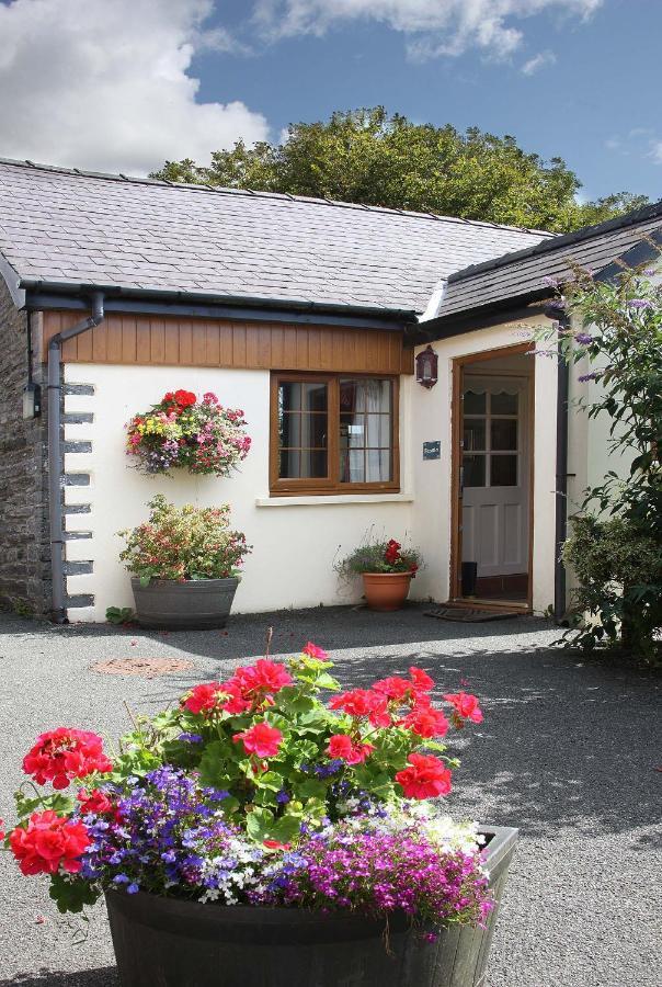 Croft Farm & Celtic Cottages Cardigan Exterior foto